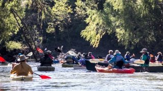 Group of Kayakers on San Antonio River