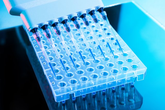 Pipettes and 96-well plate for testing