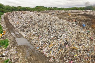 Land Waste and Cleanup Category