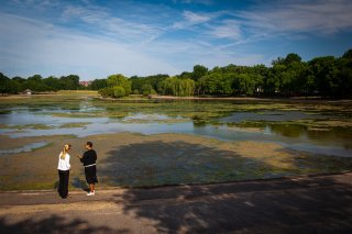 People walking near a wetland with algae growth.